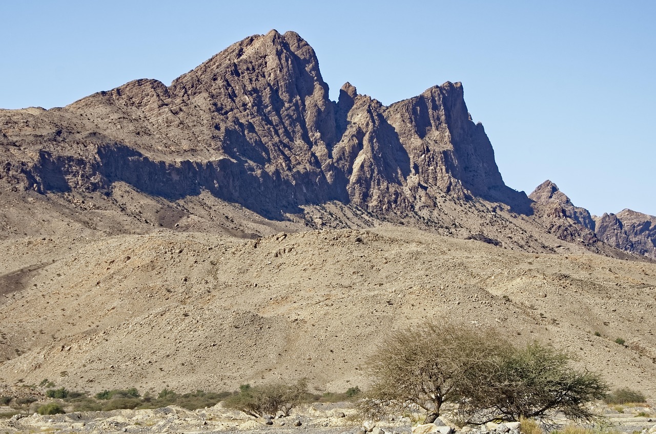 تصویر مطلب