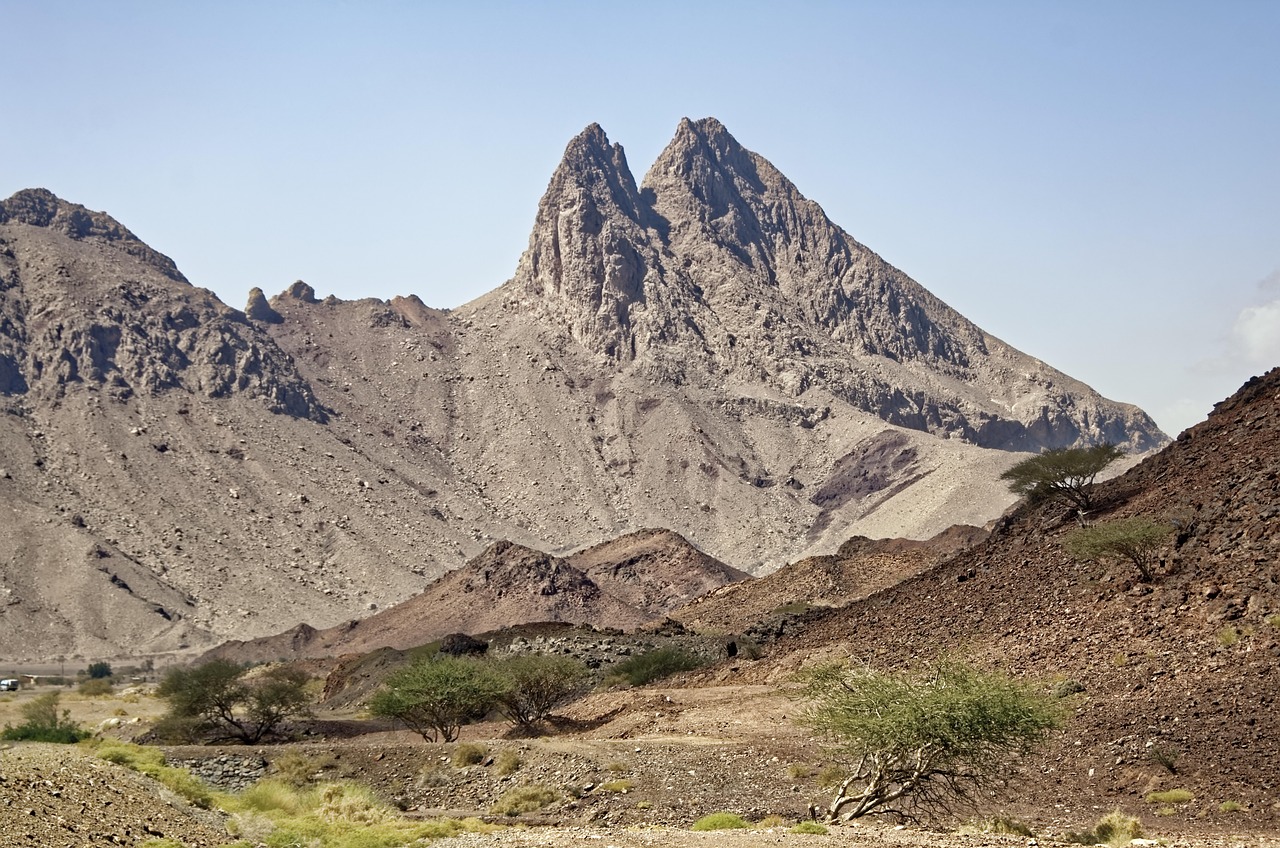 تصویر مطلب